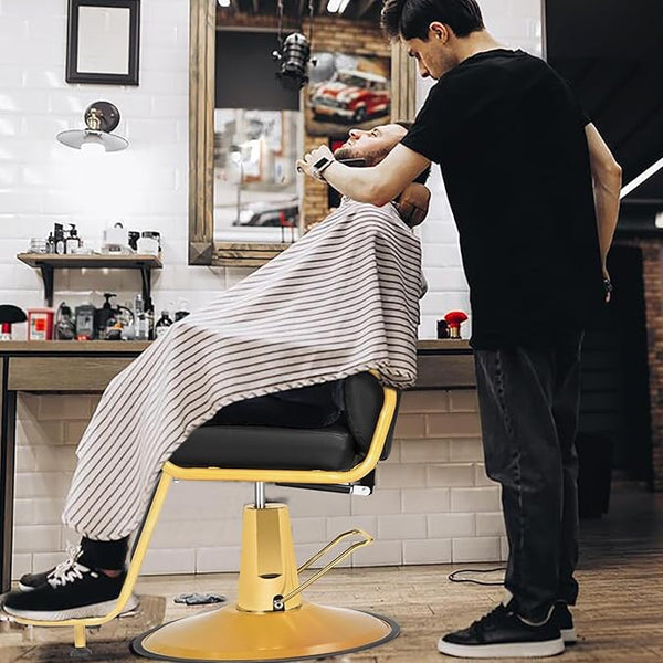 Hydraulic Recliner Salon Chair