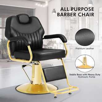Hydraulic Recliner Salon Chair