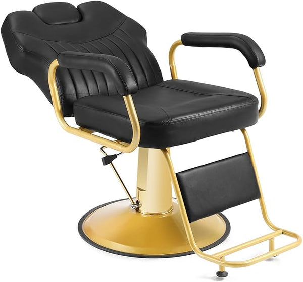 Hydraulic Recliner Salon Chair